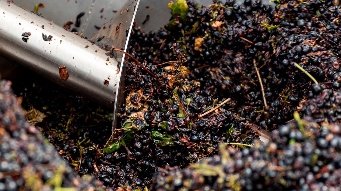 titol Wine Cellar - Tenute BellaMarina