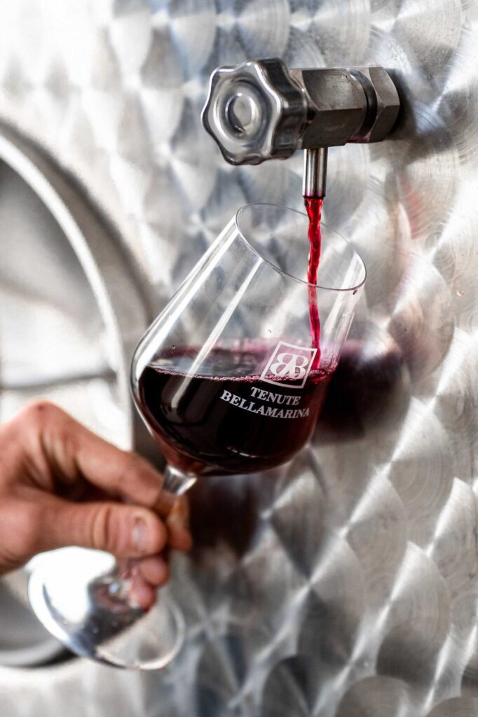 titol Tours & Tastings - Tenute BellaMarina