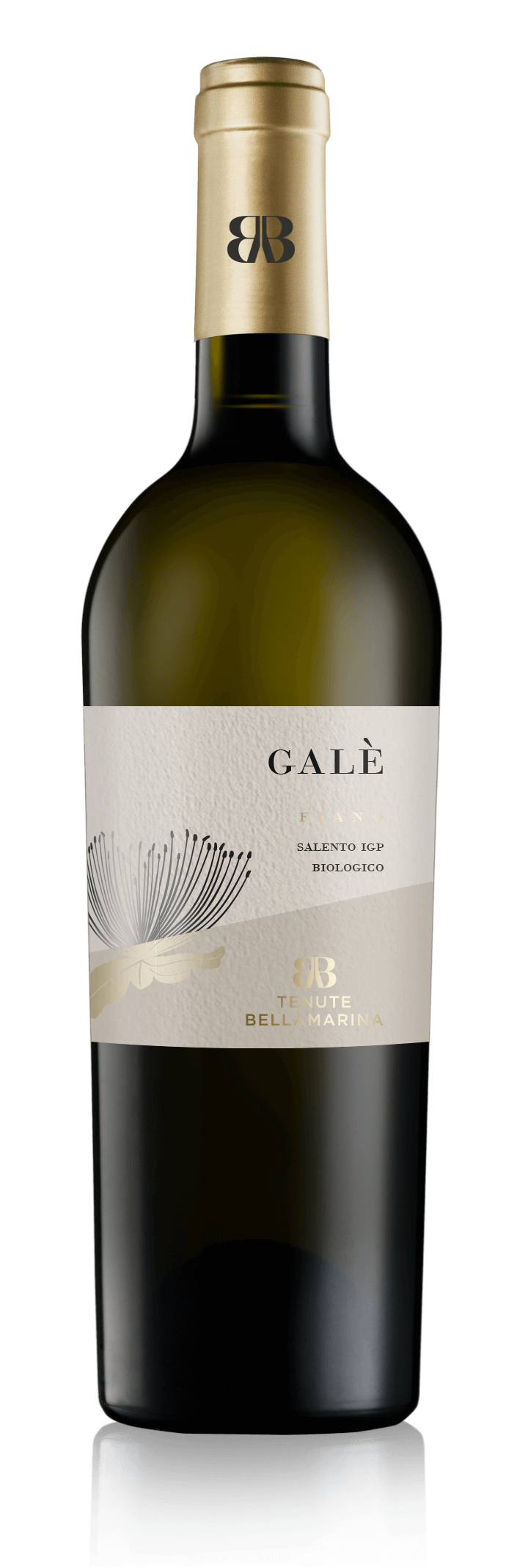 Galè 1 titol Galè - Tenute BellaMarina